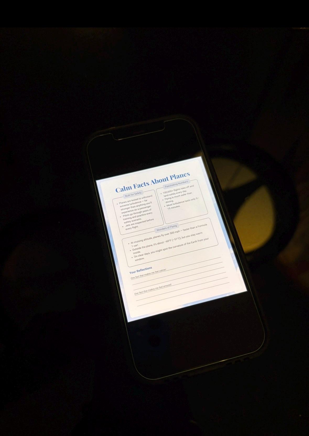 CEO of Panic Journal: airplane edition