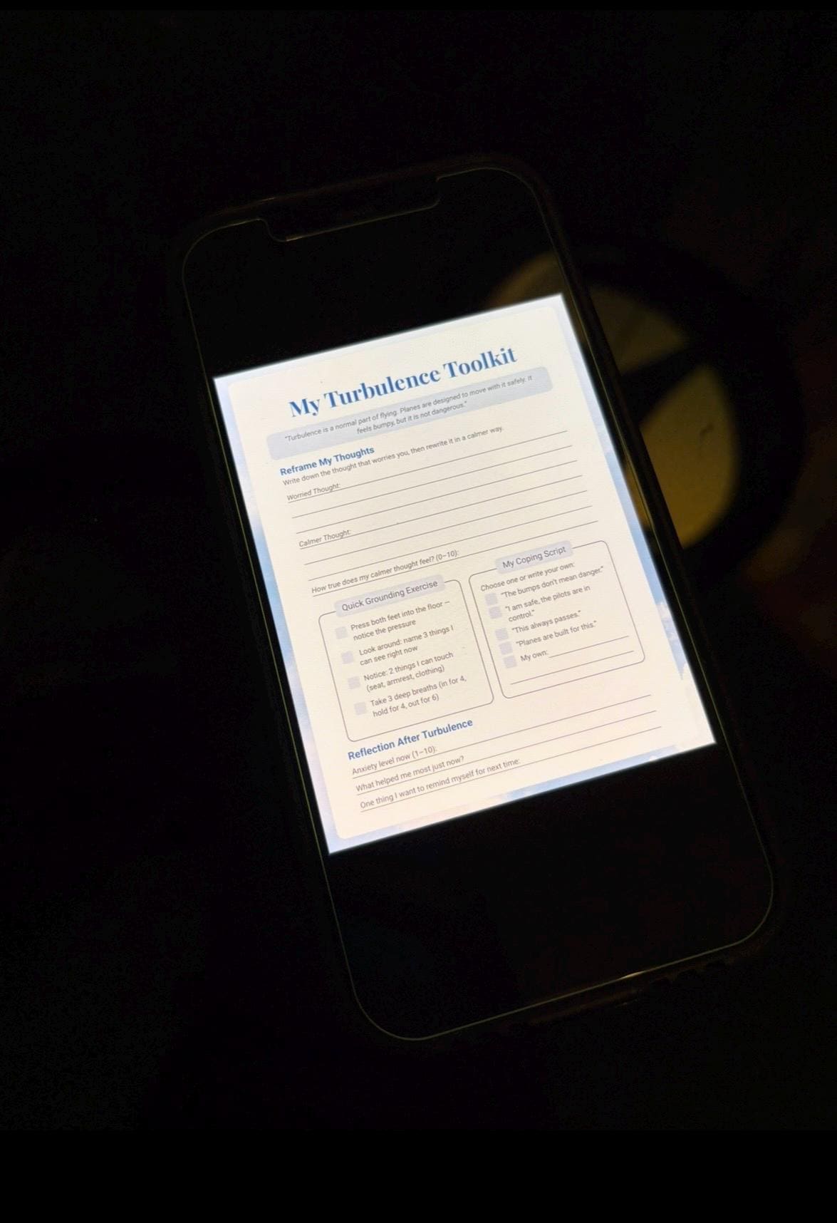 CEO of Panic Journal: airplane edition