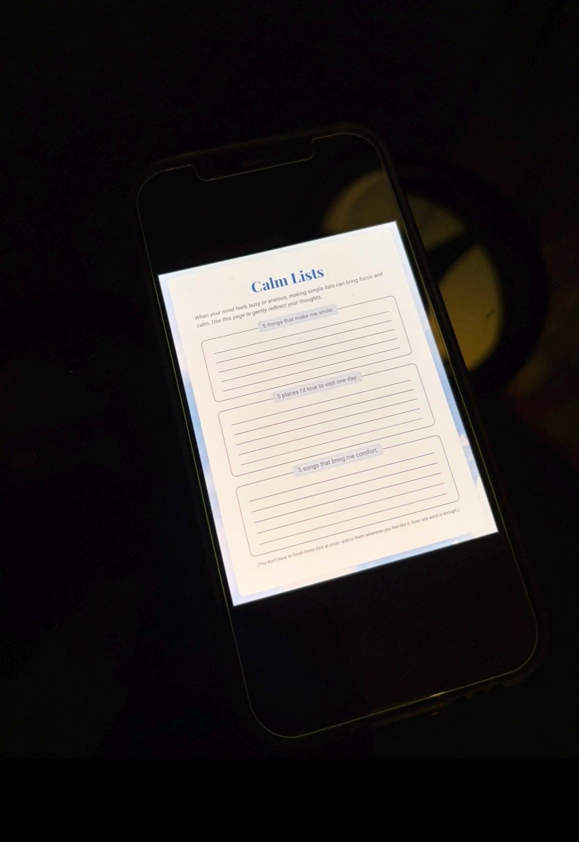 CEO of Panic Journal: airplane edition